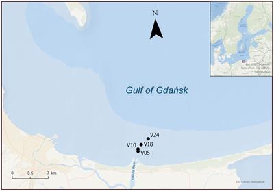 Spatial and seasonal pattern of microbial nitrate reduction in coastal sediments in the Vistula River plume area, Gulf of Gdańsk